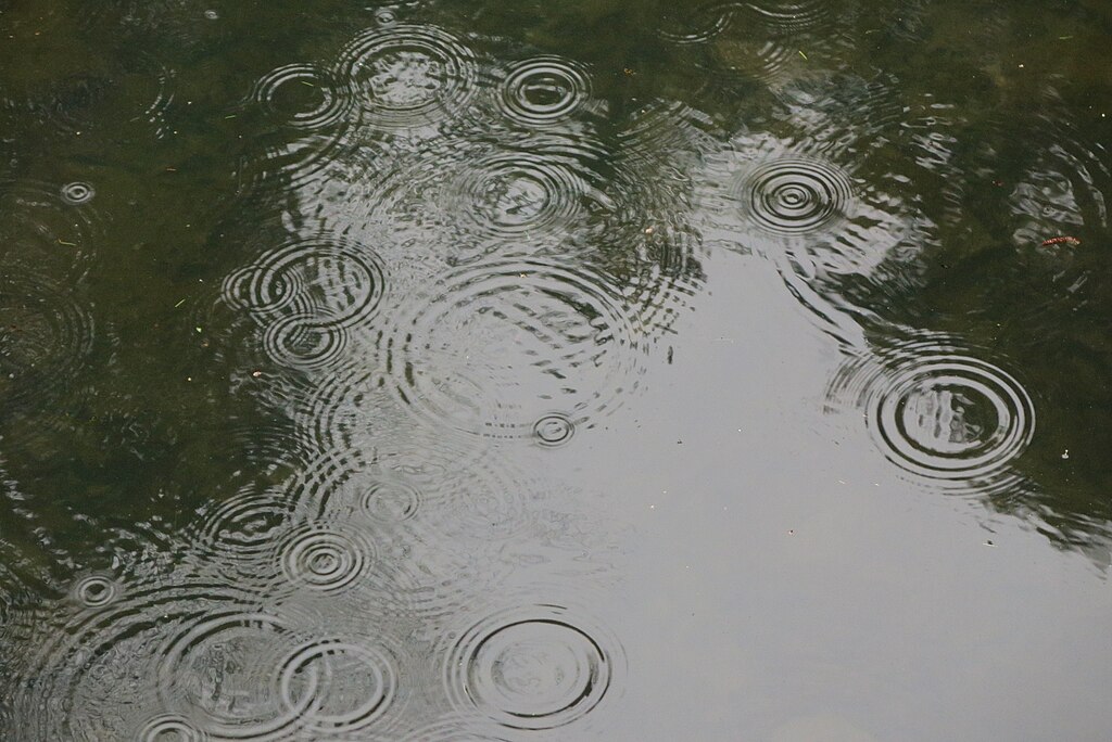 image (1)